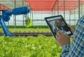 الزراعة الذكية حلم صغير بدأ مع مساق الأردوينو من إدراك